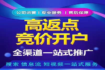 百度竞价排名服务在金融行业的推广策略